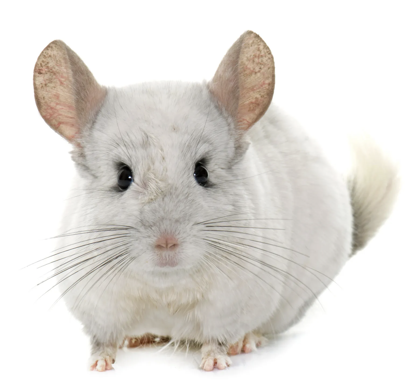 Screenshot 2025-09-01 at 10.44.24.png