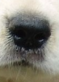 Screenshot 2025-09-03 at 15.53.22.png